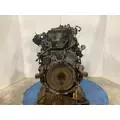 Detroit DD13 Engine Assembly thumbnail 6