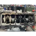 Detroit DD15 Engine Assembly thumbnail 10