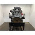 Detroit DD15 Engine Assembly thumbnail 4