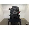 Detroit DD15 Engine Assembly thumbnail 3