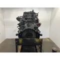 Detroit DD15 Engine Assembly thumbnail 8