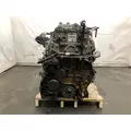 Detroit DD15 Engine Assembly thumbnail 5