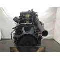 Detroit DD15 Engine Assembly thumbnail 5