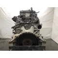 Detroit DD15 Engine Assembly thumbnail 9