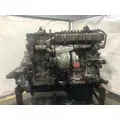 Detroit DD15 Engine Assembly thumbnail 5