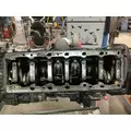 Detroit DD15 Engine Assembly thumbnail 13