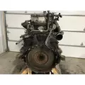 Detroit DD15 Engine Assembly thumbnail 4