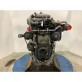 Detroit DD15 Engine Assembly thumbnail 10