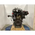 Detroit DD15 Engine Assembly thumbnail 5