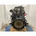 Detroit DD15 Engine Assembly thumbnail 7