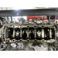 Detroit DD15 Engine Assembly thumbnail 27