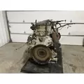 Detroit DD16 Engine Assembly thumbnail 9