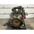 Detroit DD16 Engine Assembly thumbnail 4