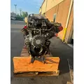 Detroit DD16 Engine Assembly thumbnail 9