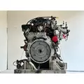 Detroit DD5 Engine Assembly thumbnail 7