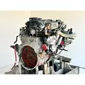Detroit DD5 Engine Assembly thumbnail 5