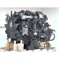 Detroit DD8 Engine Assembly thumbnail 2