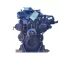 USED - WITH WARRANTY B Engine Assembly DETROIT DD13 (471928) for sale thumbnail