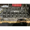  Cylinder Head DETROIT DD13 for sale thumbnail