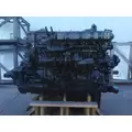 BEARING / SEALED BY NON-OE Engine Assembly DETROIT DD15 (472906) for sale thumbnail