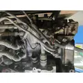USED Fuel Pump (Injection) DETROIT DD15 for sale thumbnail