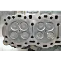 Detroit Series 60 14.0L DDEC VI Cylinder Head thumbnail 7