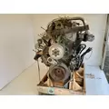 Detroit Series 60 14.0L DDEC V Engine Assembly thumbnail 3