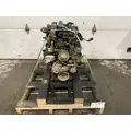 Deutz TD2.9L4 Engine Assembly thumbnail 1