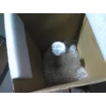 EATON-SPICER 131245 AXLE SHAFT thumbnail 2