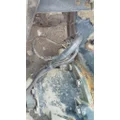 EATON-SPICER DDP40R285 CUTOFF - SINGLE AXLE thumbnail 4
