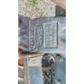 EATON-SPICER DS402RTBD CUTOFF - SINGLE AXLE thumbnail 7