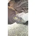 EATON-SPICER RD405 AXLE HOUSING, REAR (REAR) thumbnail 4