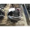EATON-SPICER RSP40R325 DIFFERENTIAL ASSEMBLY REAR REAR thumbnail 2