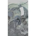 EATON-SPICER S110R410 DIFFERENTIAL ASSEMBLY REAR REAR thumbnail 1