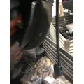 EATON 16244 Rears (Rear) thumbnail 3
