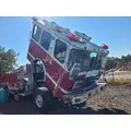 EMERGENCY ONE FIRE TRUCK Door Assembly, Rear or Back thumbnail 3