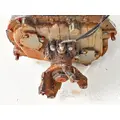 Eaton/Fuller FR16210BP Transmission Assembly thumbnail 5