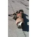USED - W/DIFF Axle Assembly, Rear (Front) EATON-SPICER RS404 for sale thumbnail