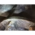Eaton 110885 Axle Shaft thumbnail 2