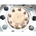 Eaton 127438 Axle Shaft thumbnail 2