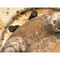 Eaton 128434 Axle Shaft thumbnail 4