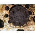 Eaton 130911 Axle Shaft thumbnail 2