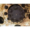 Eaton 130912 Axle Shaft thumbnail 2