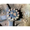 Eaton 56980 Axle Shaft thumbnail 1