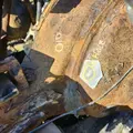 Eaton DS463P Axle Assembly, Rear thumbnail 9