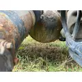 USED Axle Housing (Front) Eaton DSP40 for sale thumbnail