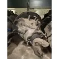 Eaton RSP41 Rears (Rear) thumbnail 1