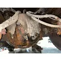 Eaton S23-170D Axle Housing (Rear) thumbnail 2