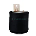 FLEETRITE FLT1R12432 AIR BAG (SPRING) thumbnail 1
