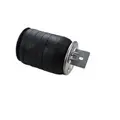 FLEETRITE FLT1R12689 AIR BAG (SPRING) thumbnail 1